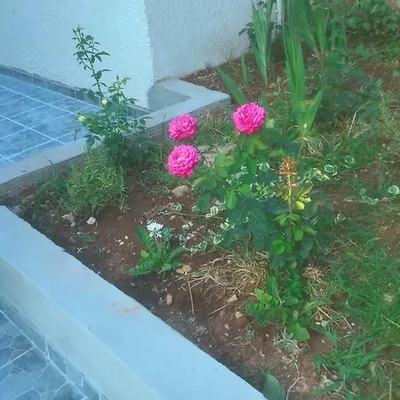 Apartment Oaza *